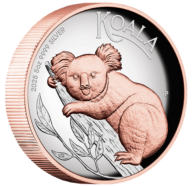 koala5ozA