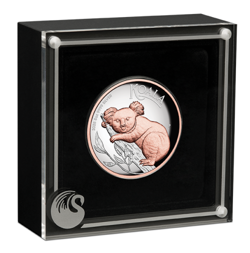 Australian Koala 2025 5oz Silver Proof High Relief Gilded Coin - Image 3