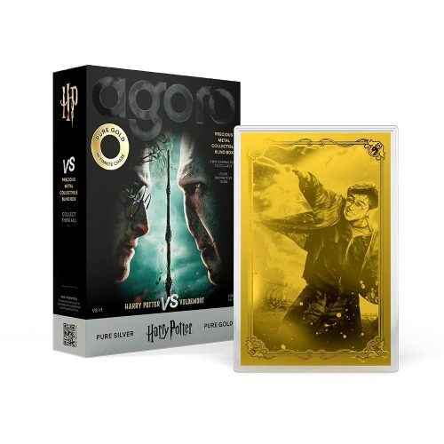 Harry Potter VS Voldemort 5g Foil Blind Box Silver & Gold Tiers
